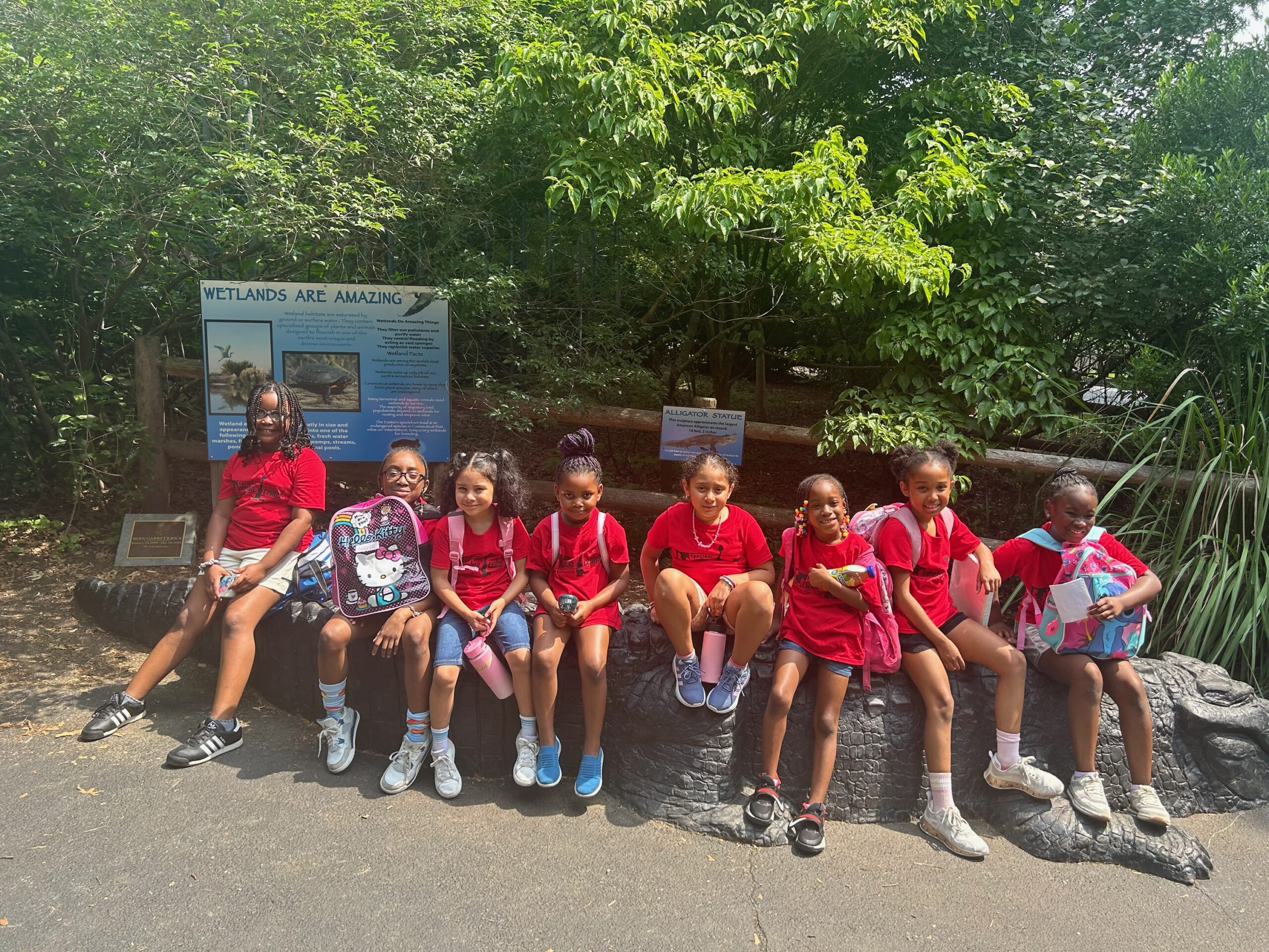 Cover for Summer Camp